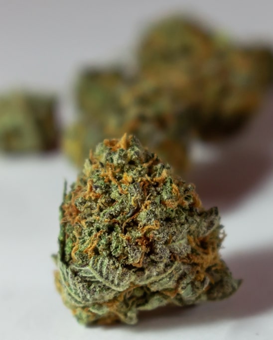 cannabis product photo